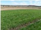 Gin Gin QLD 4671