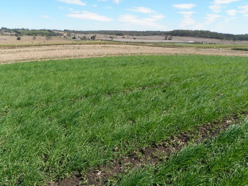 Gin Gin QLD 4671