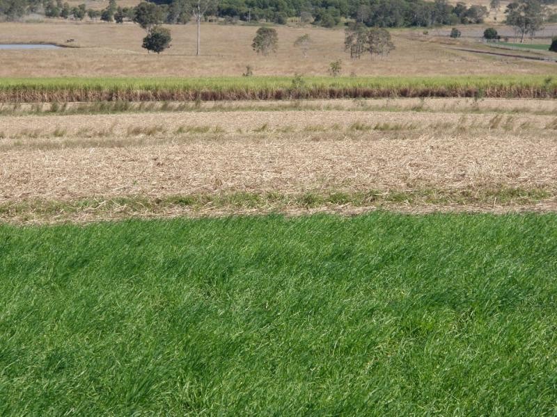 Gin Gin QLD 4671