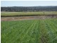Gin Gin QLD 4671