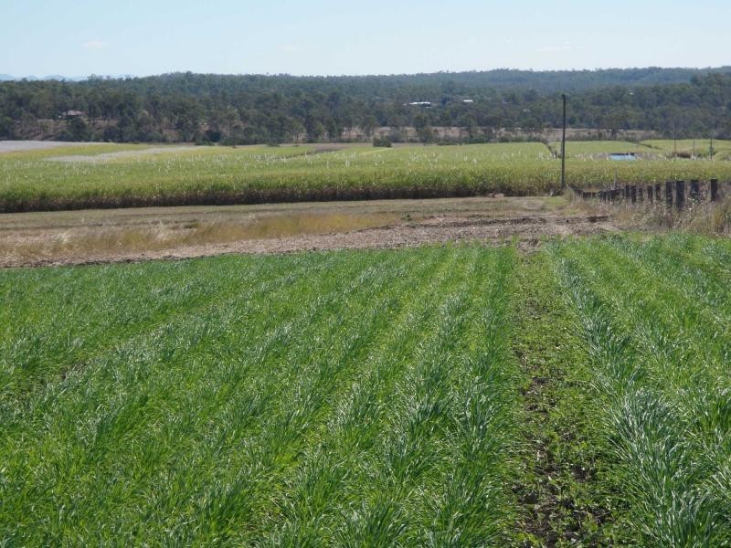Gin Gin QLD 4671
