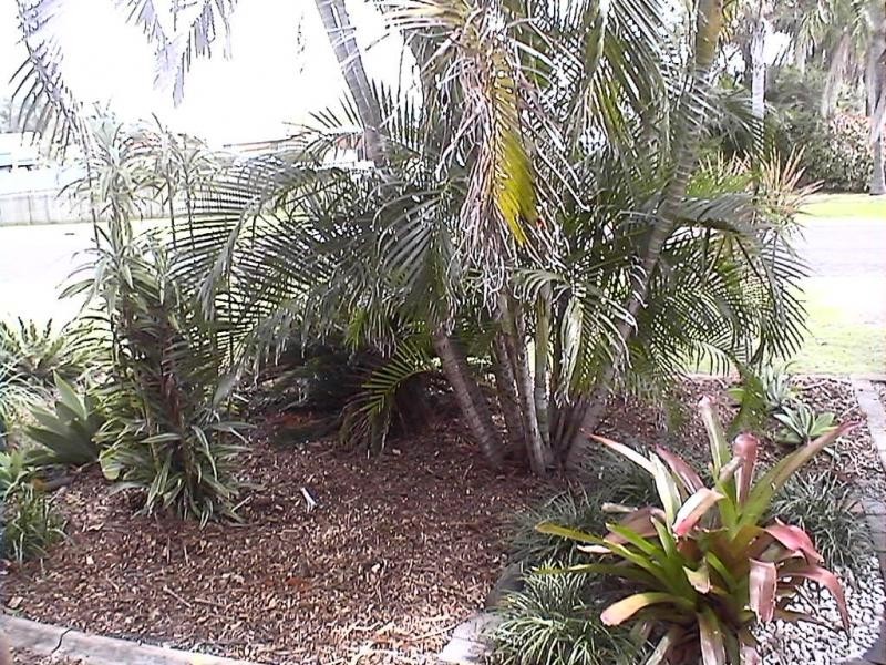 Burnett Heads QLD 4670