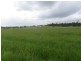 Avondale QLD 4670