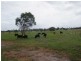 Avondale QLD 4670
