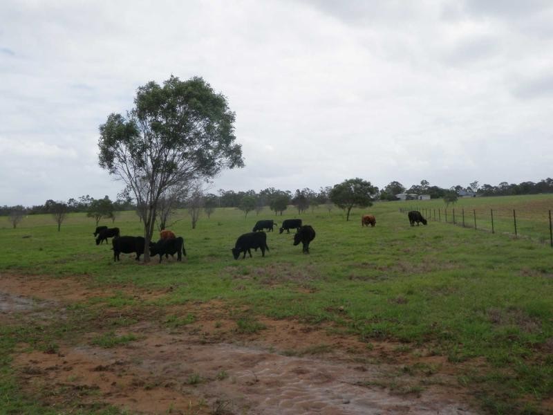 Avondale QLD 4670