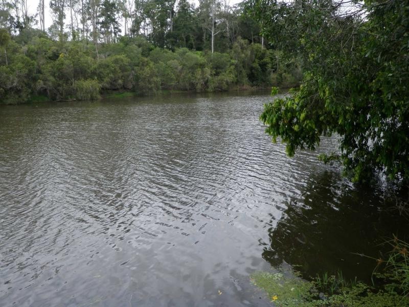 Avondale QLD 4670