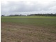 Avondale QLD 4670