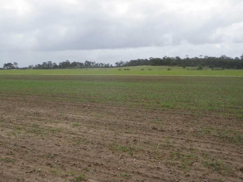 Avondale QLD 4670