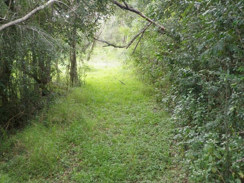 Avondale QLD 4670