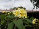 Bundaberg North QLD 4670