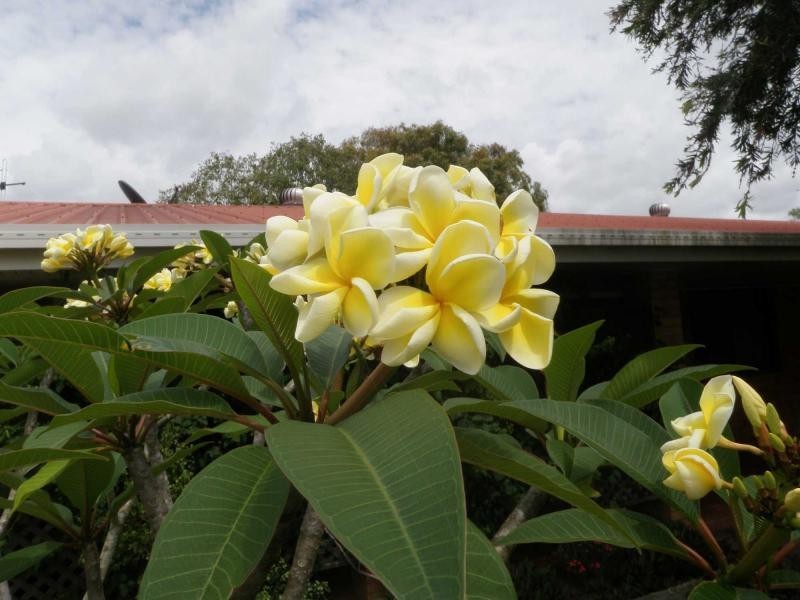 Bundaberg North QLD 4670