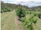 New Moonta QLD 4671