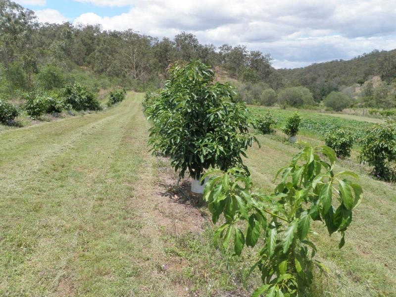 New Moonta QLD 4671