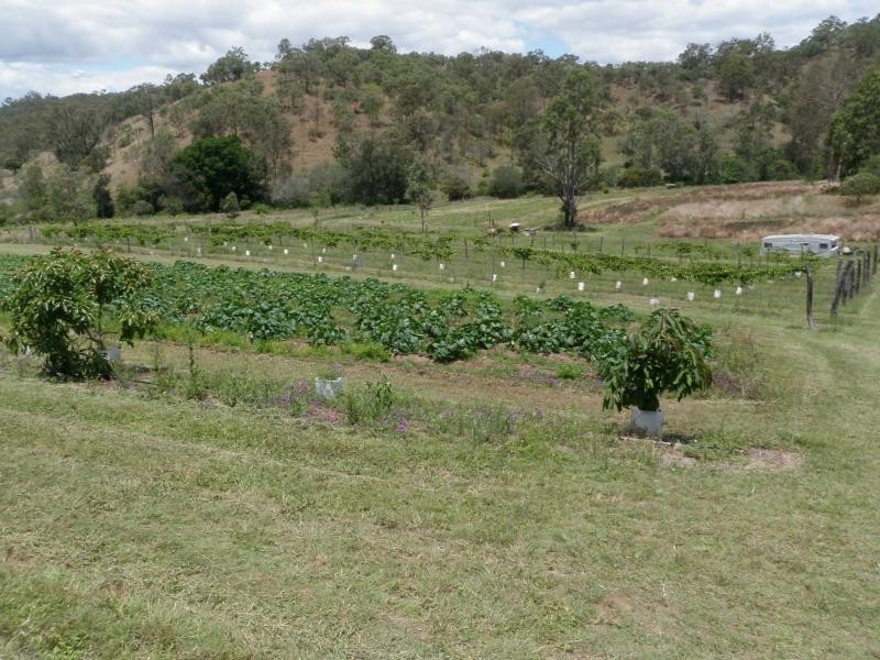 New Moonta QLD 4671