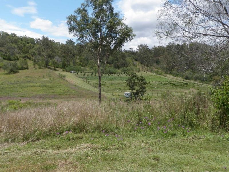 New Moonta QLD 4671