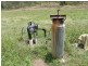 New Moonta QLD 4671