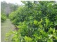 New Moonta QLD 4671
