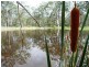 Bucca QLD 4670
