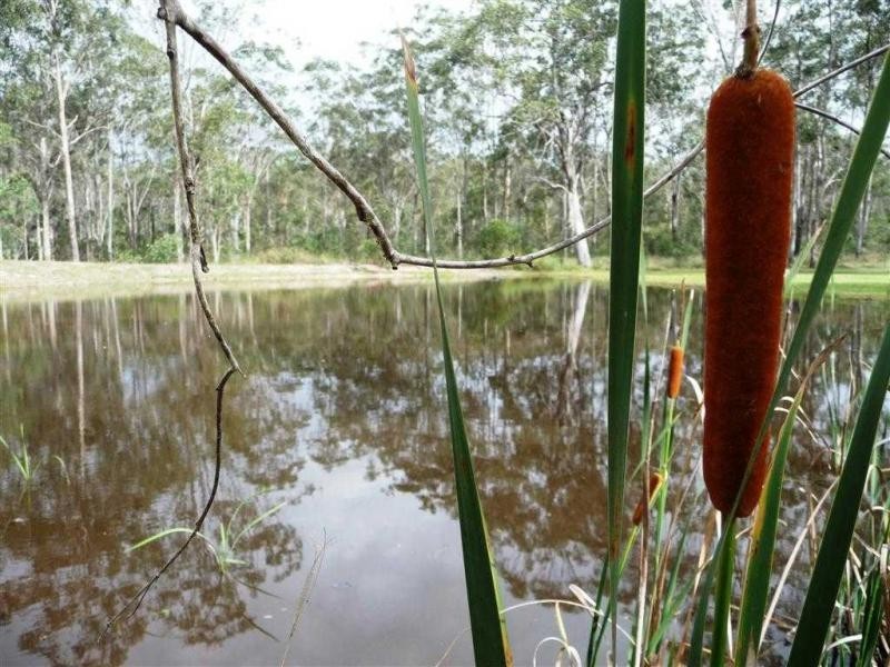Bucca QLD 4670