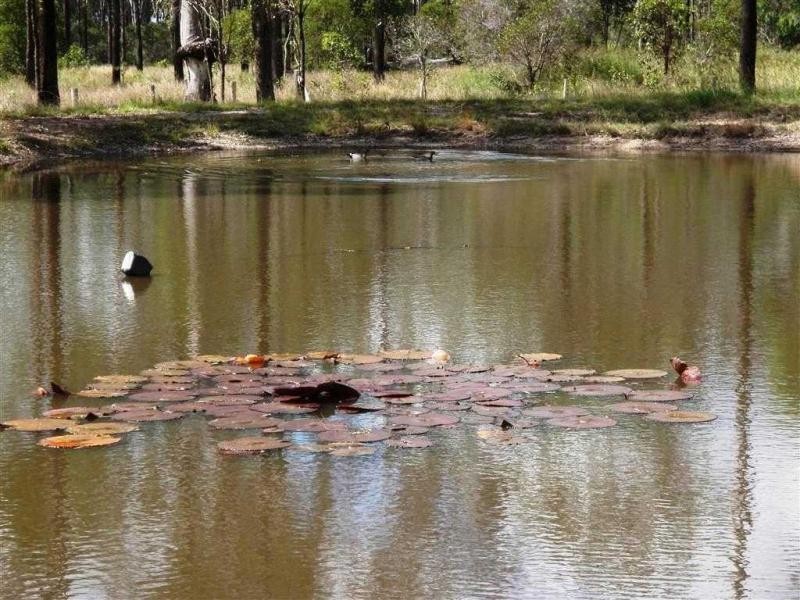 Bucca QLD 4670