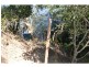South Kolan QLD 4670