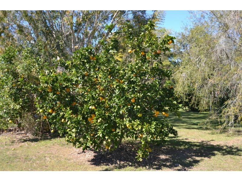 South Kolan QLD 4670