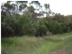 South Kolan QLD 4670