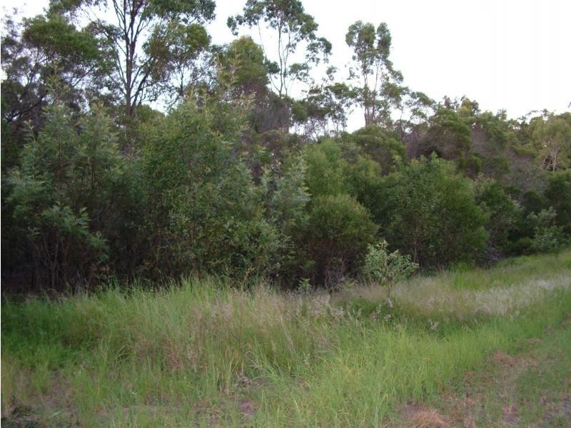 South Kolan QLD 4670