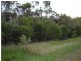 South Kolan QLD 4670