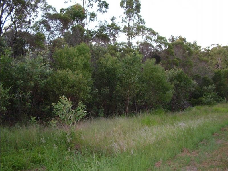 South Kolan QLD 4670