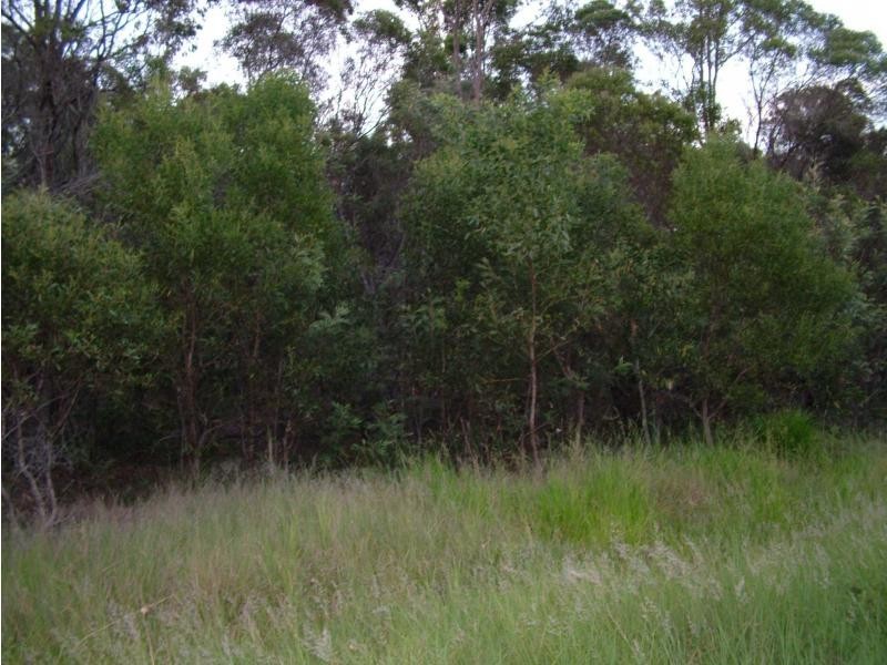 South Kolan QLD 4670