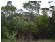 South Kolan QLD 4670