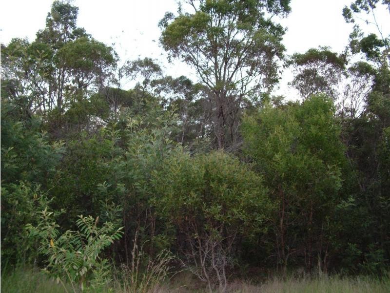 South Kolan QLD 4670