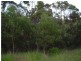 South Kolan QLD 4670