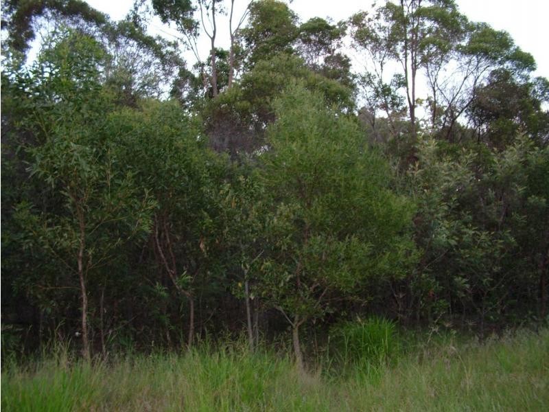 South Kolan QLD 4670