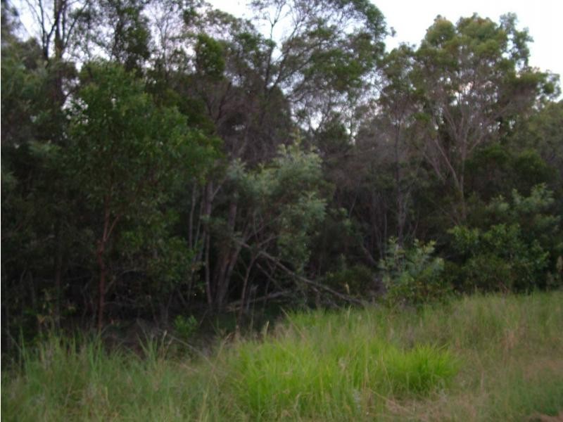 South Kolan QLD 4670