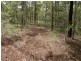 South Kolan QLD 4670