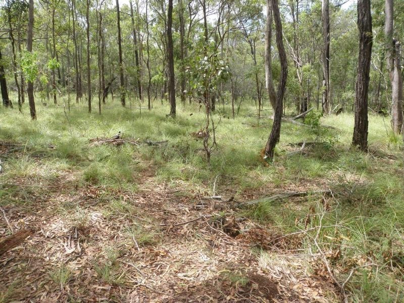 South Kolan QLD 4670
