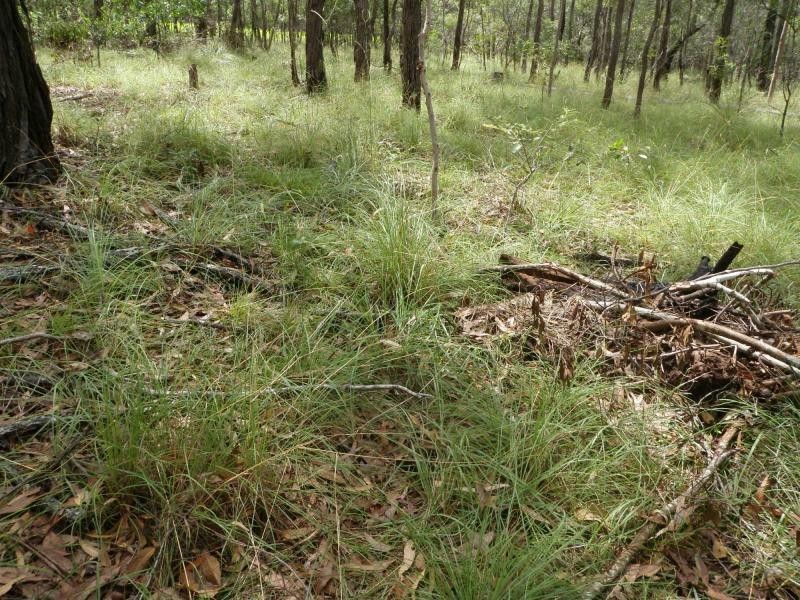 South Kolan QLD 4670