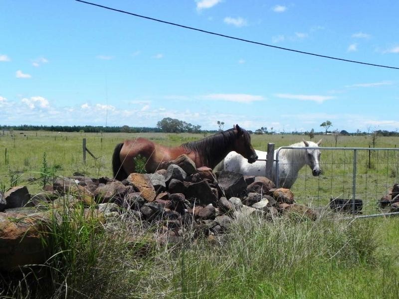 Woongarra QLD 4670