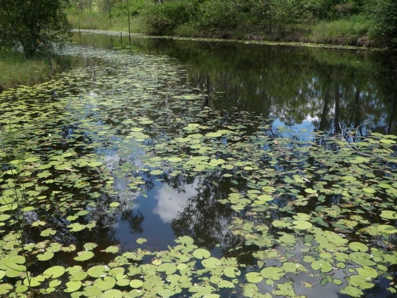 796 MT PERRY GIN GIN Road, Gin Gin QLD 4671