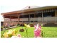 Yungaburra QLD 4884
