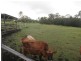 Maroondan QLD 4671