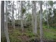 248 Hawe Road, Electra QLD 4670