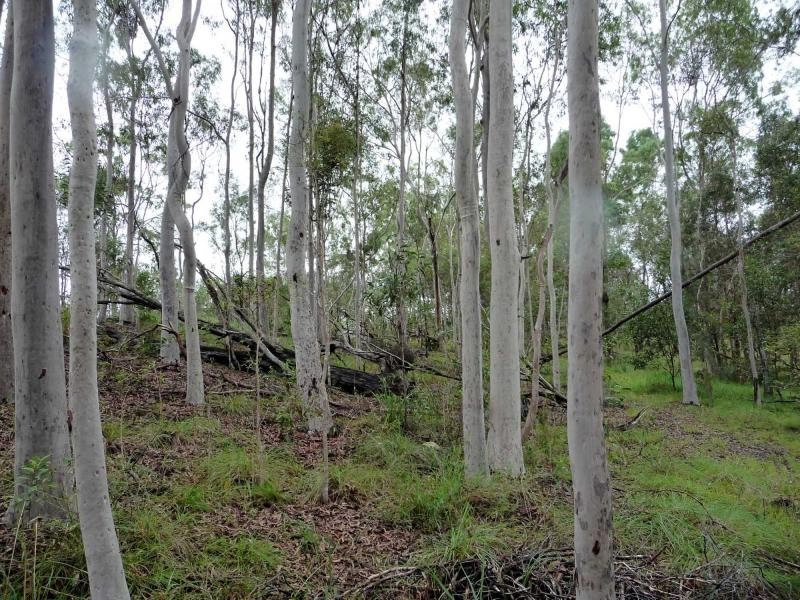 248 Hawe Road, Electra QLD 4670