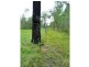 248 Hawe Road, Electra QLD 4670