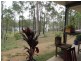 Pine Creek QLD 4670