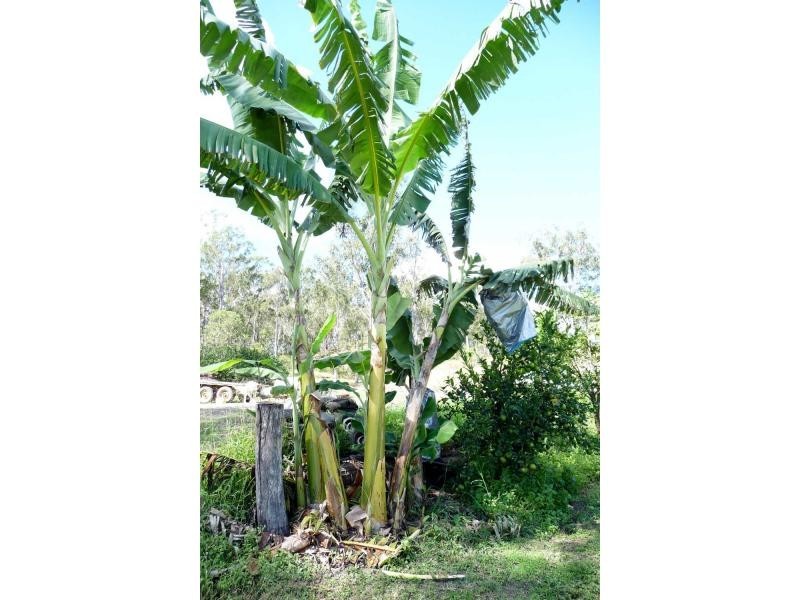 Wallaville QLD 4671