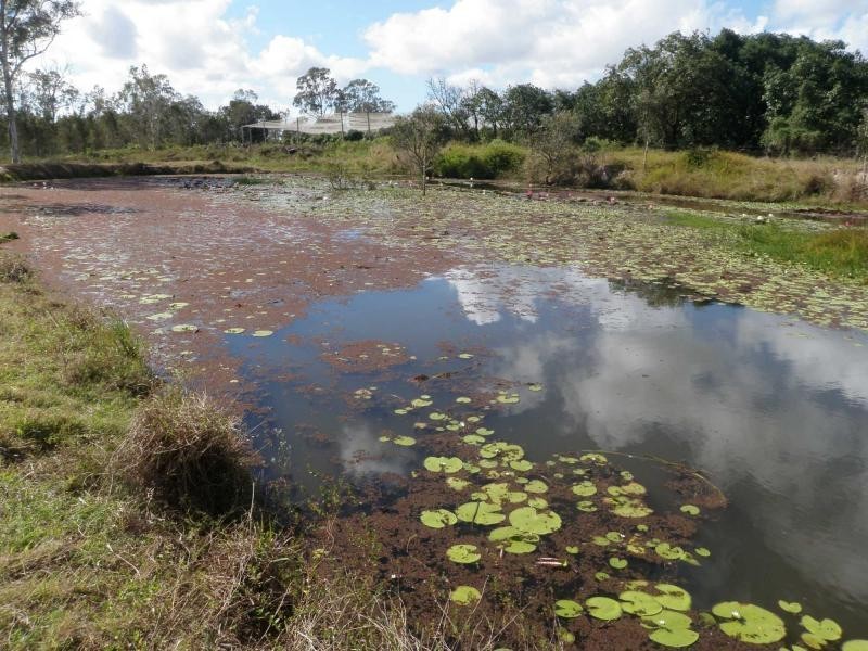 Sharon QLD 4670