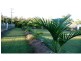 South Bingera QLD 4670